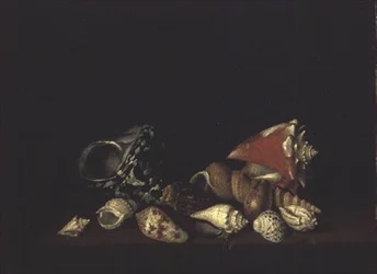 Nature morte de coquillages sur une corniche